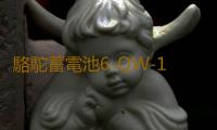 駱駝蓄電池6-QW-120-k適配依維柯貨車農用車汽車電瓶 以舊換新